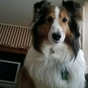 Meet your Posher, Carole